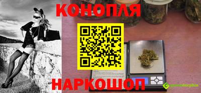 прущие грибы Донецк