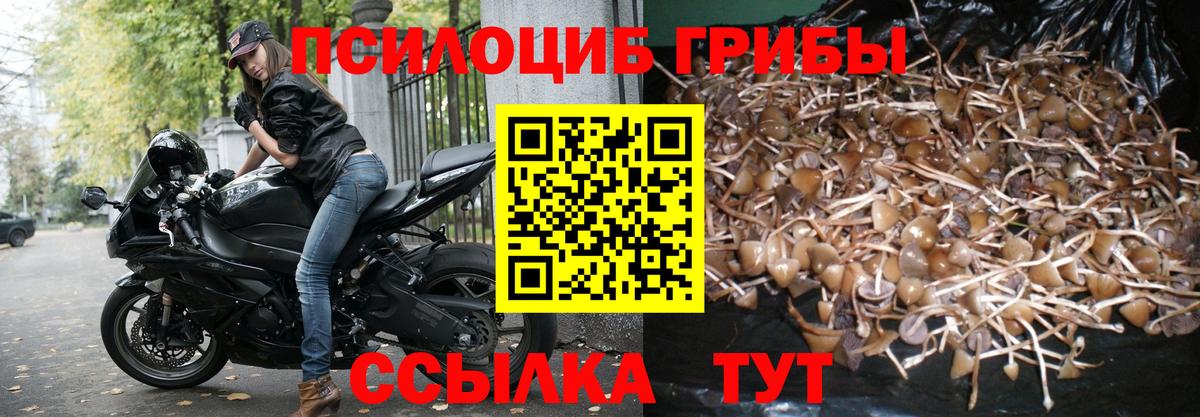 Псилоцибиновые грибы MAGIC MUSHROOMS Большой Камень
