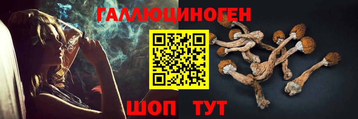 Большой Камень  Галлюциногенные грибы MAGIC MUSHROOMS  Вход с VPN 